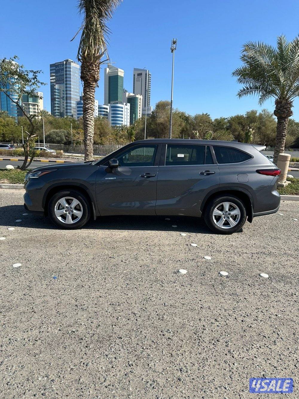 هايلاندر هايبرد1