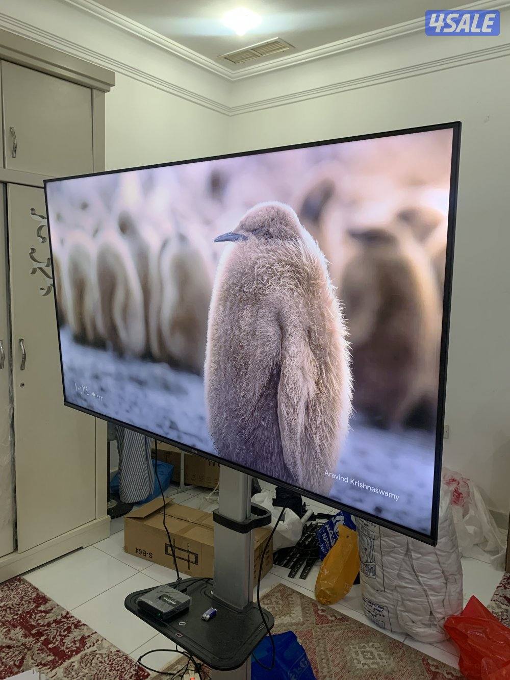 للبيع تلفزيونات 55 و 42 و 40 و 32 بوصه سمارت توصيل 24 ساعة1