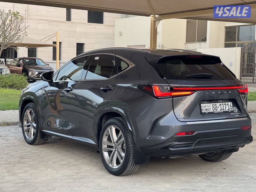 لكزس NX350 صبغ وكاله تحت الكفاله موديل 20242