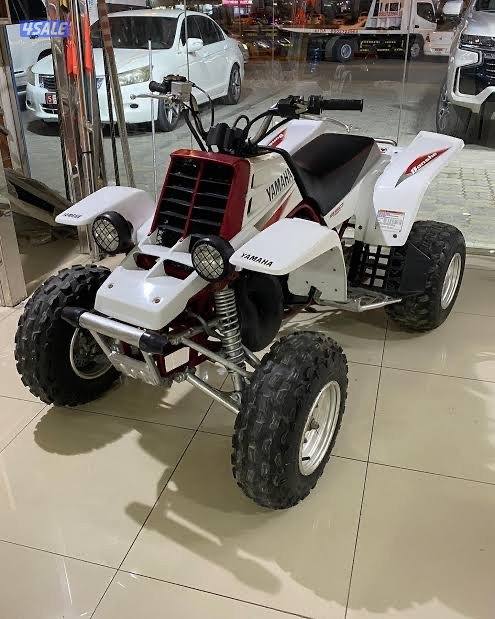 مطلوب بانشي سعره من 450 لي 5500