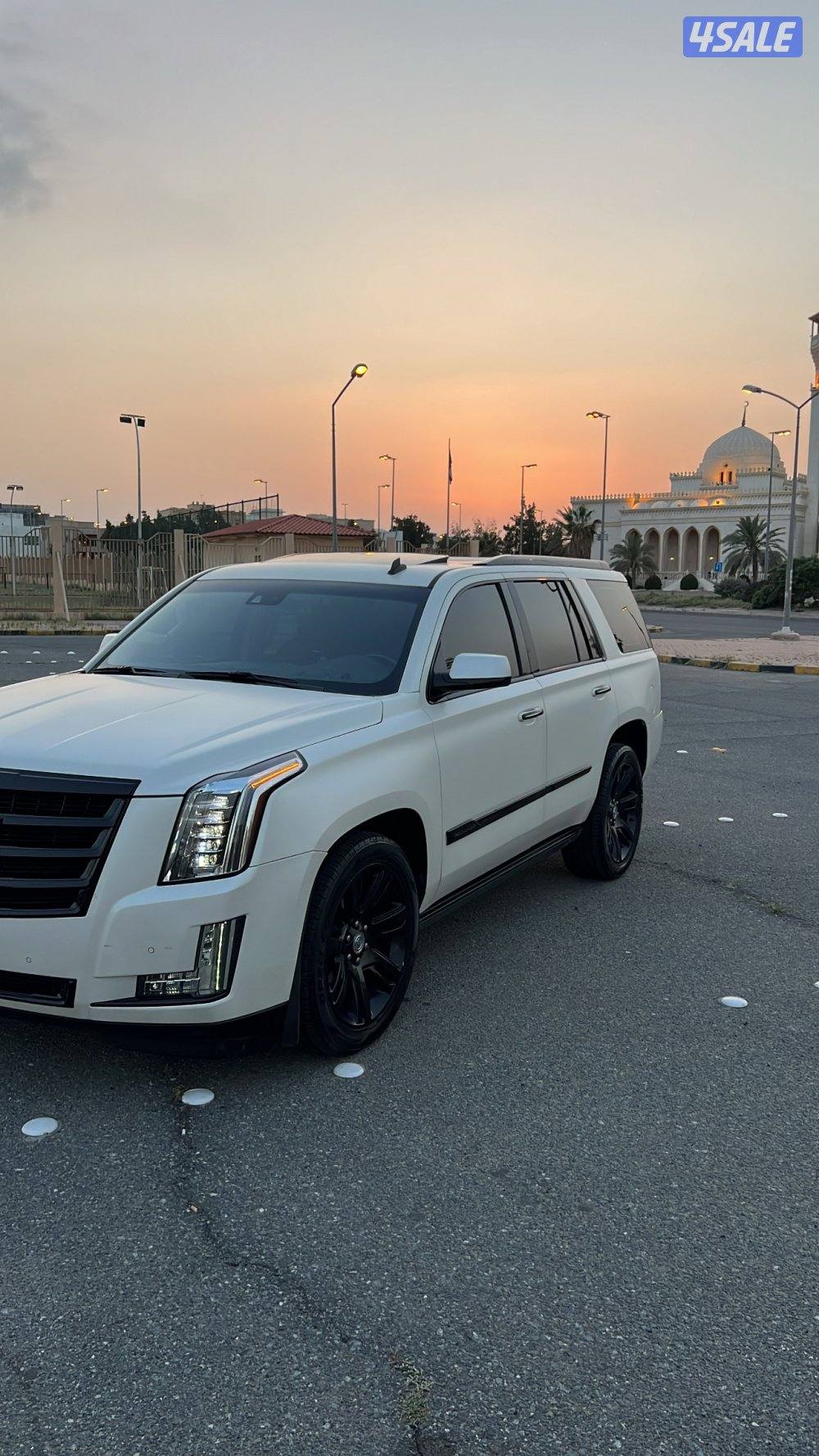 للبيـع أو للبدل سكاليد0