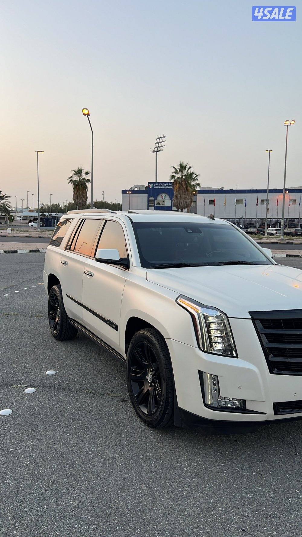 للبيـع أو للبدل سكاليد1