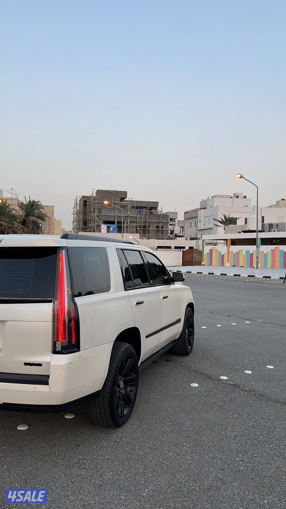 للبيـع أو للبدل سكاليد2