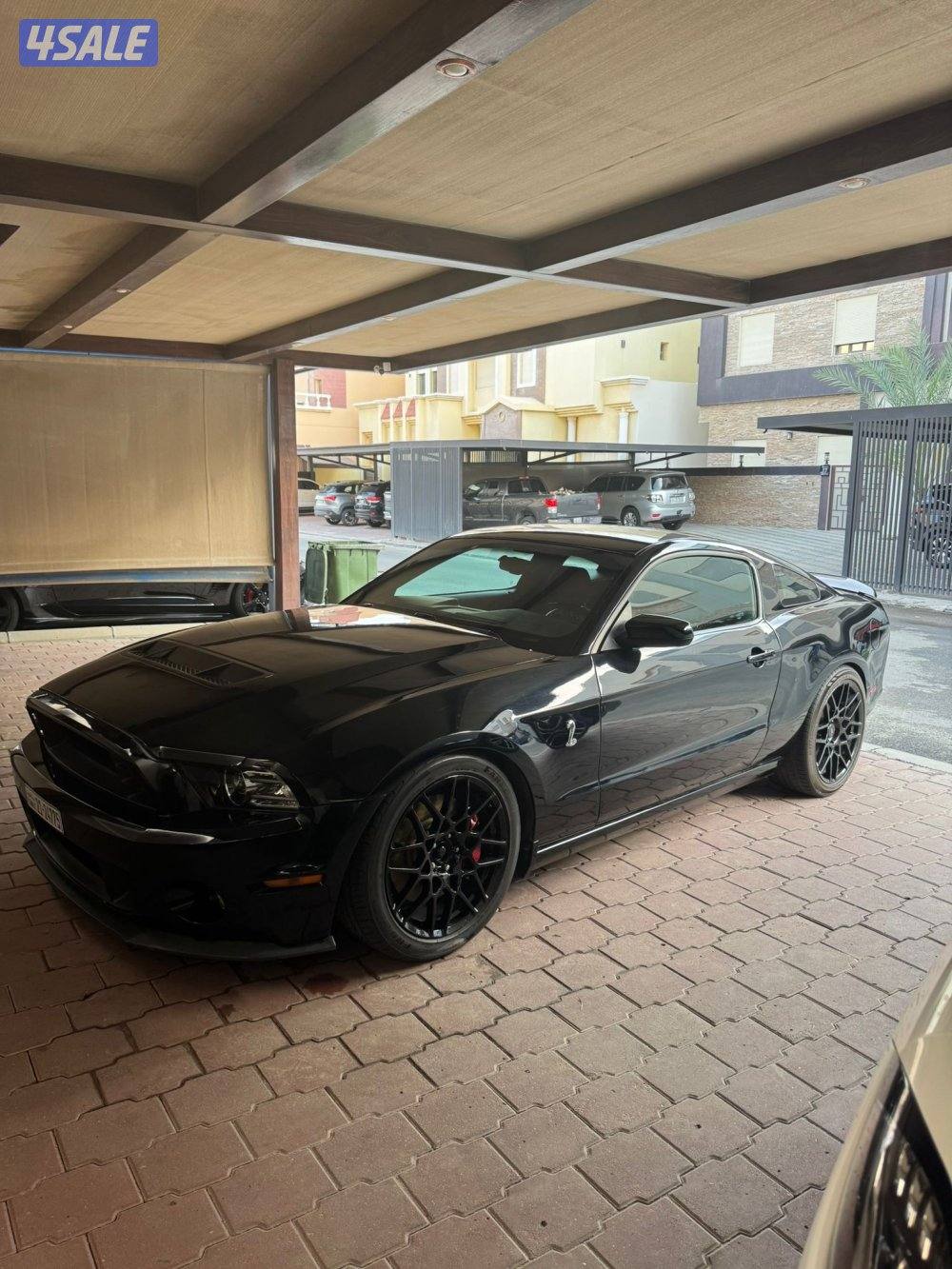 للبيع موستنق0