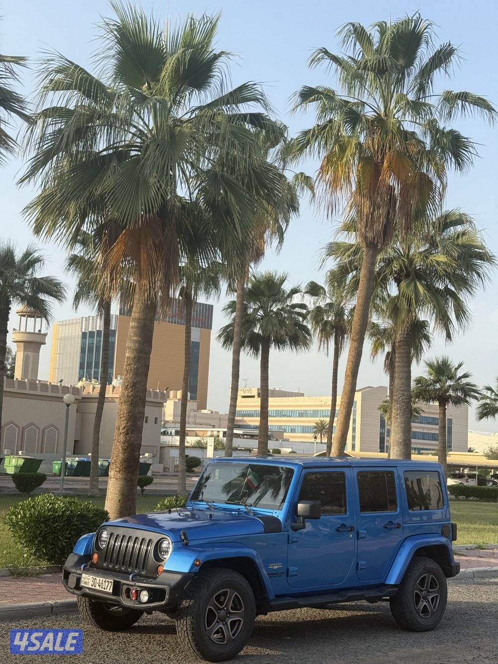 رانلقر صحاري 20153