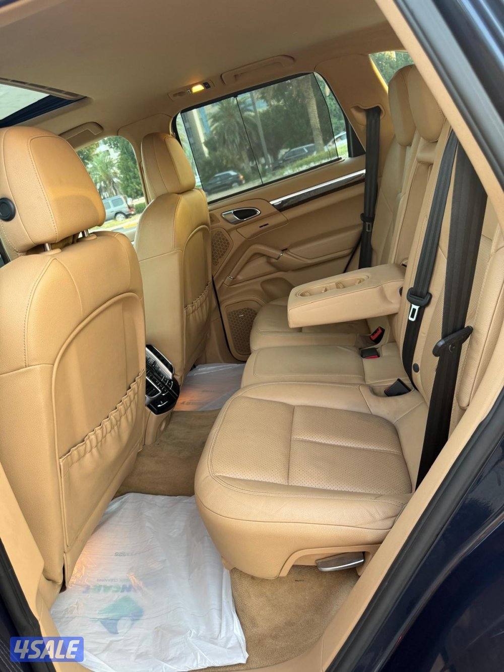 الشعب البحري4