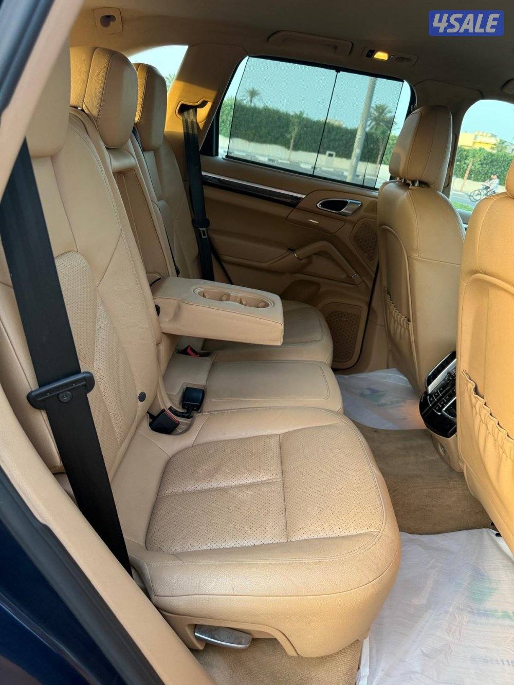 الشعب البحري6