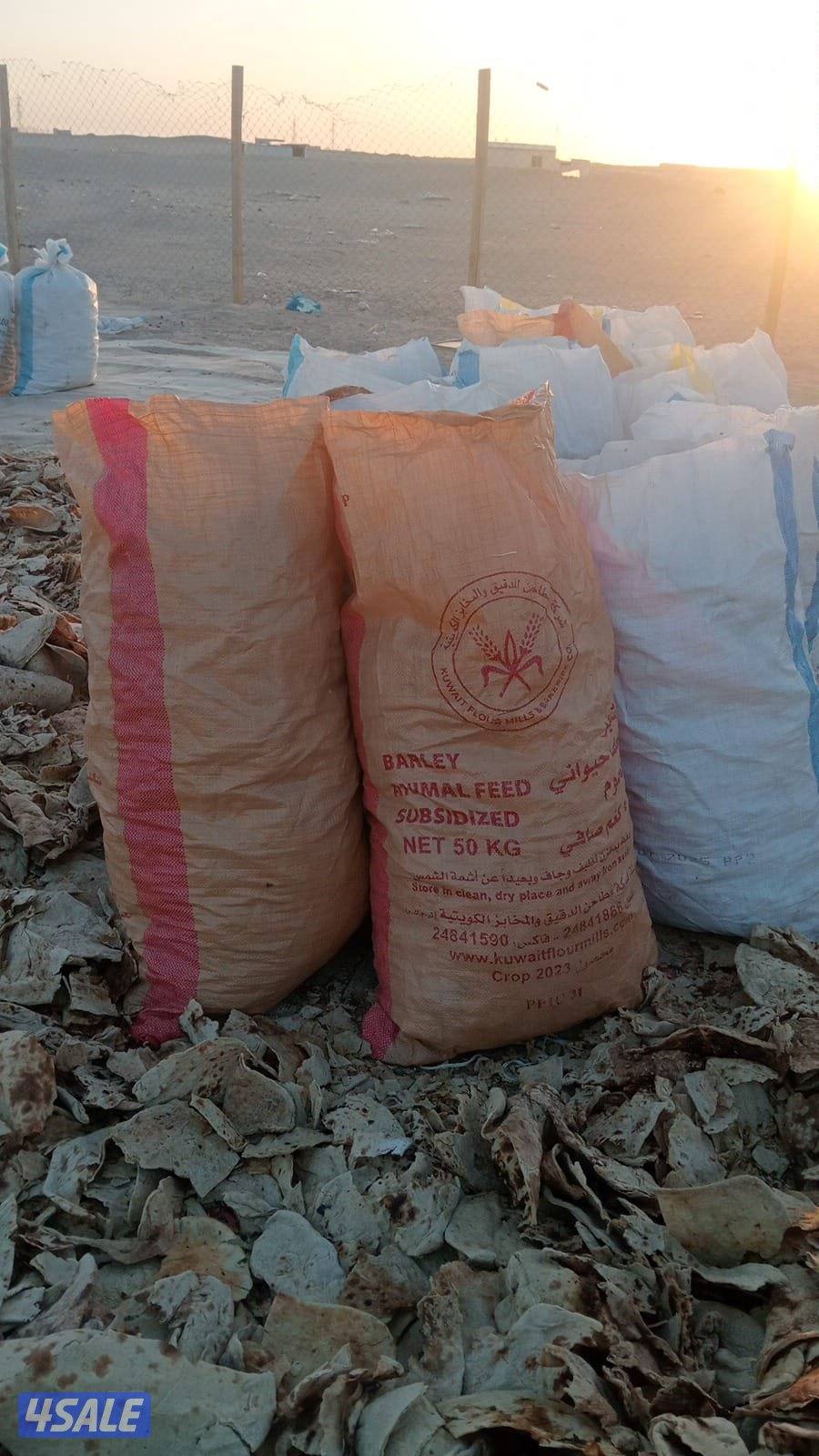 خبز يلبس الحلال الخيشه مليانه0