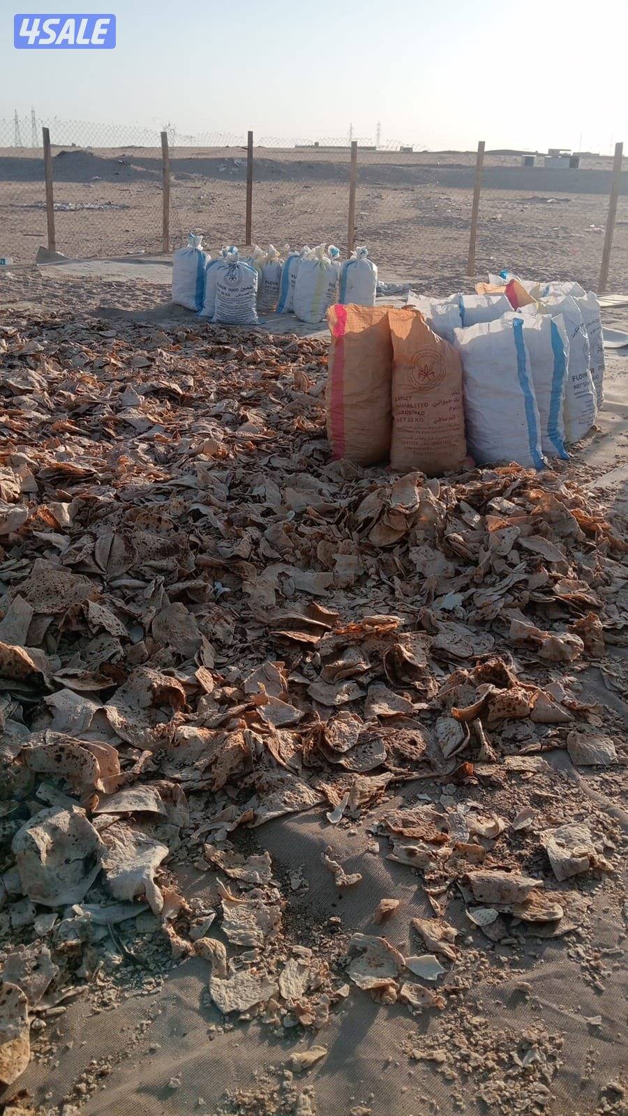 خبز يلبس الحلال الخيشه مليانه1