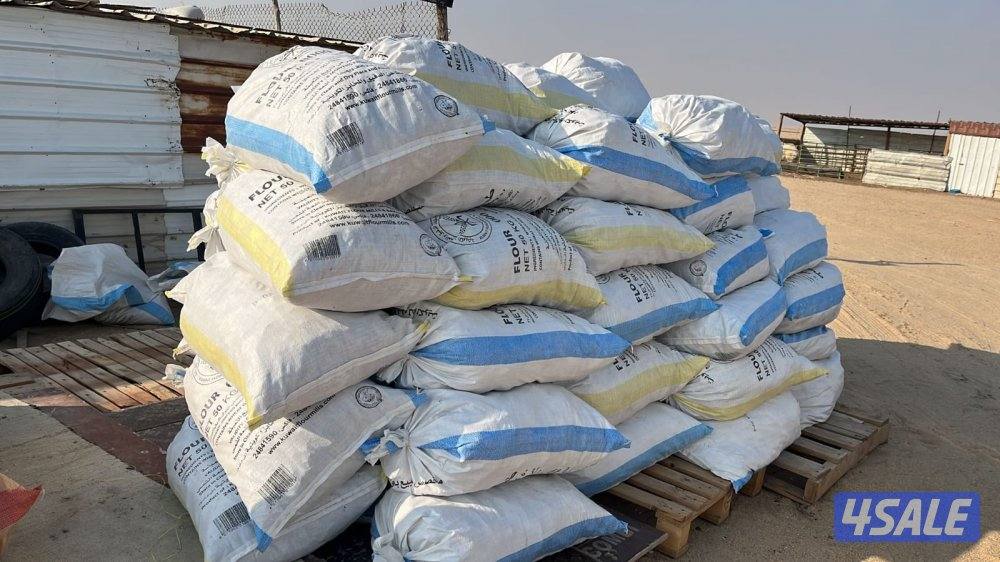 خبز يلبس الحلال الخيشه مليانه3