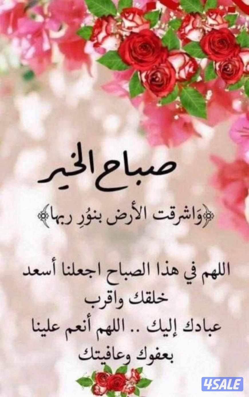 ابويوسف خدمة ٢٤ساعة3