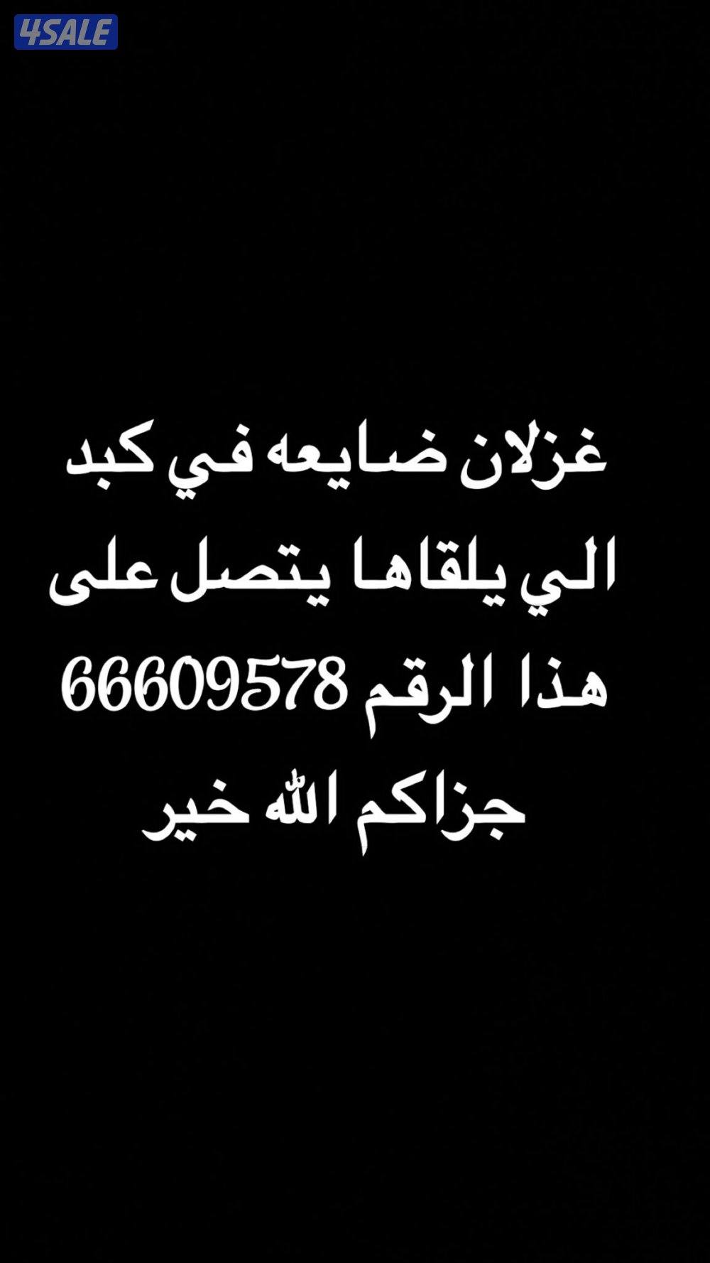 غزلان ضايعه في كبد الى يلقاهم يتصل جزاكم الله خير0