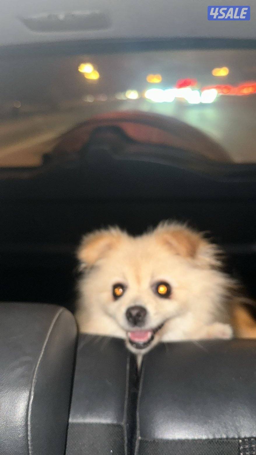 هدية قطعق٣0