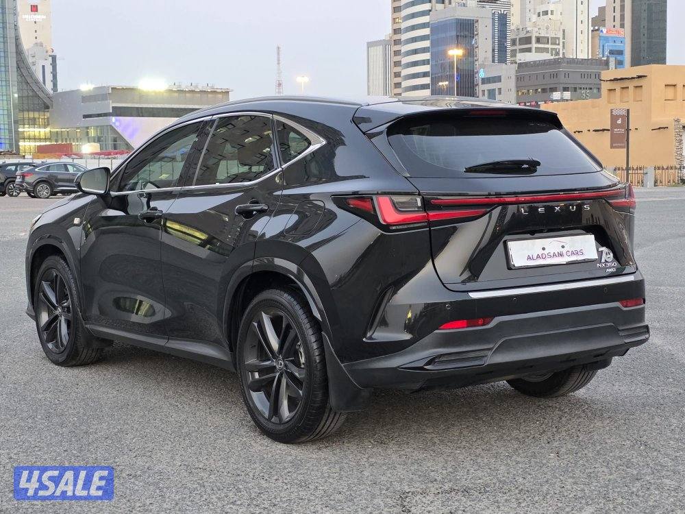 لكزس NX350 موديل 2024 _وارد الساير صبغ الوكاله3