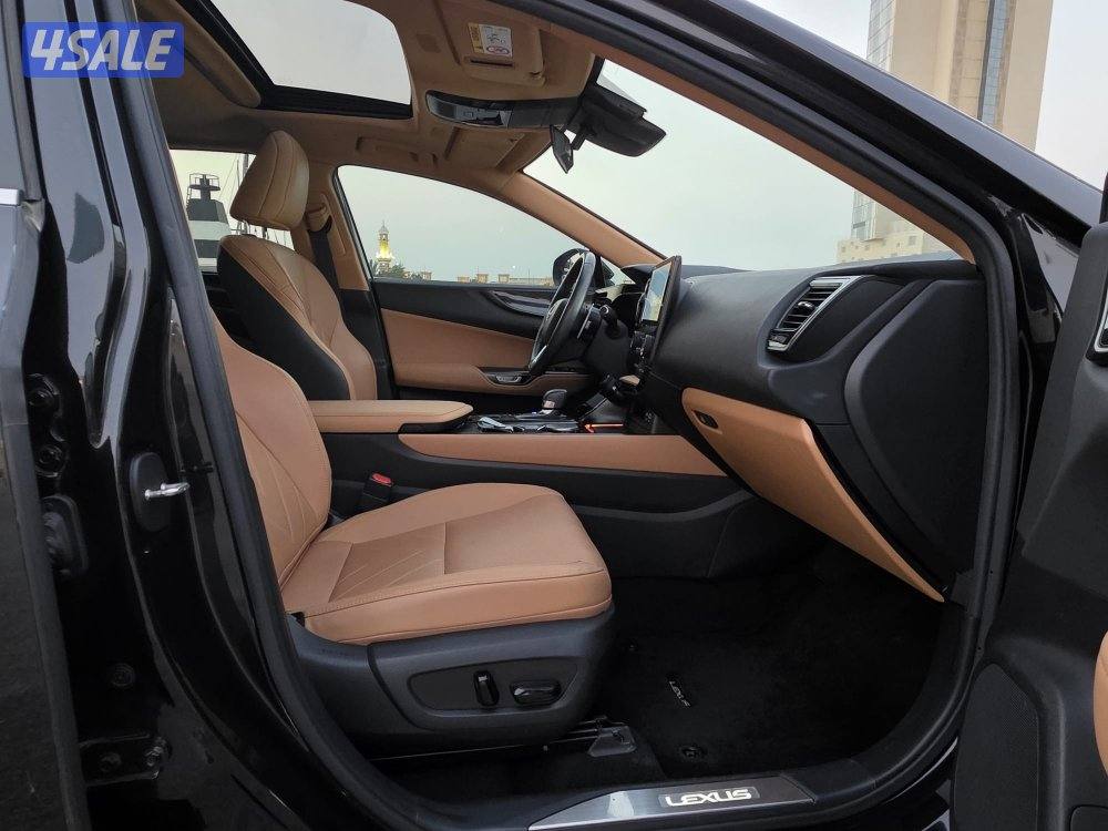 لكزس NX350 موديل 2024 _وارد الساير صبغ الوكاله6