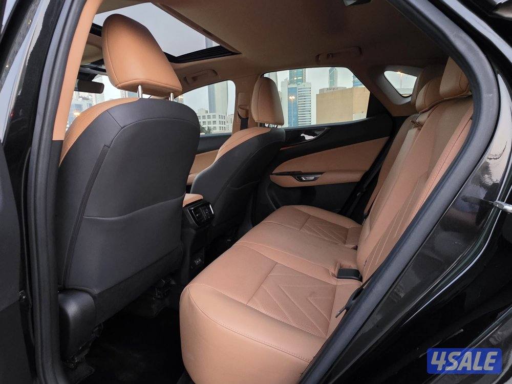 لكزس NX350 موديل 2024 _وارد الساير صبغ الوكاله7