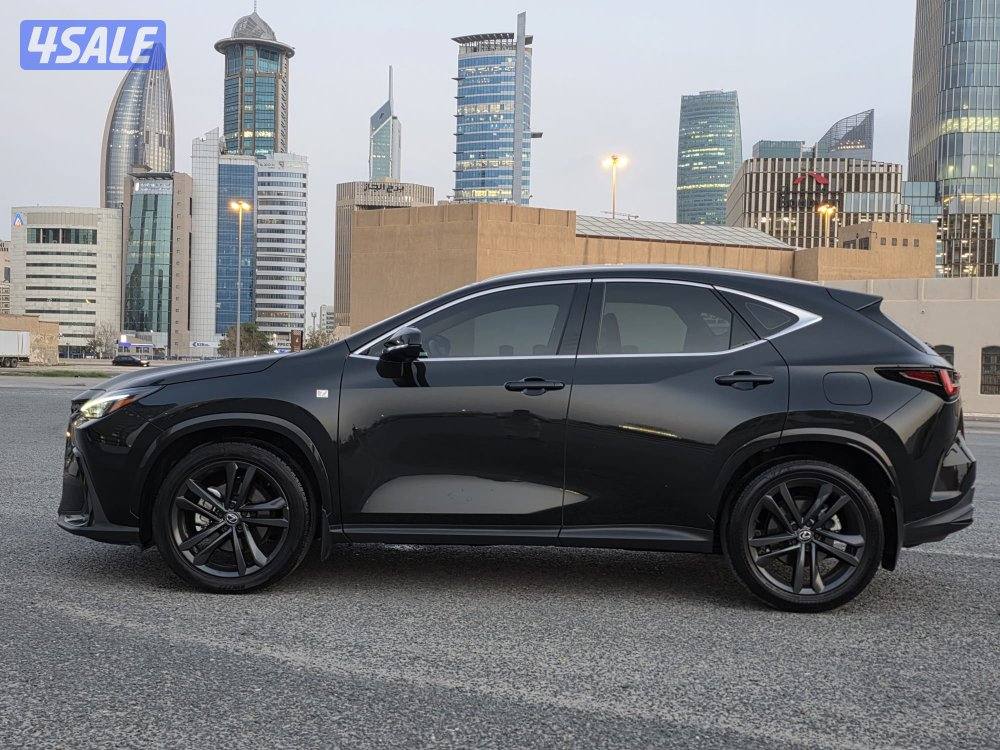 لكزس NX350 موديل 2024 _وارد الساير صبغ الوكاله8