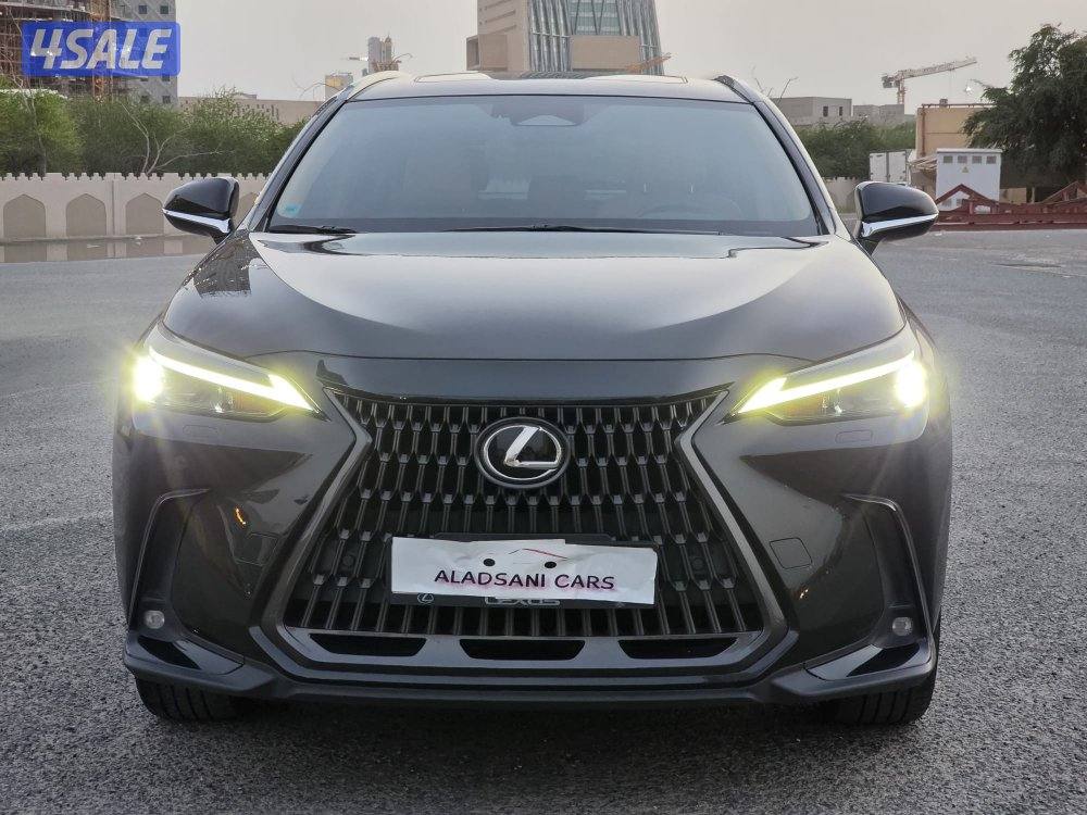 لكزس NX350 موديل 2024 _وارد الساير صبغ الوكاله10