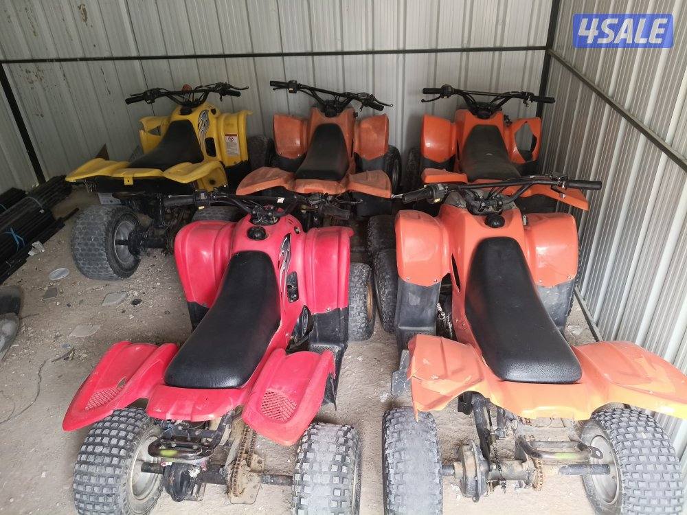 للبيع بقيات العميري عدد٥0