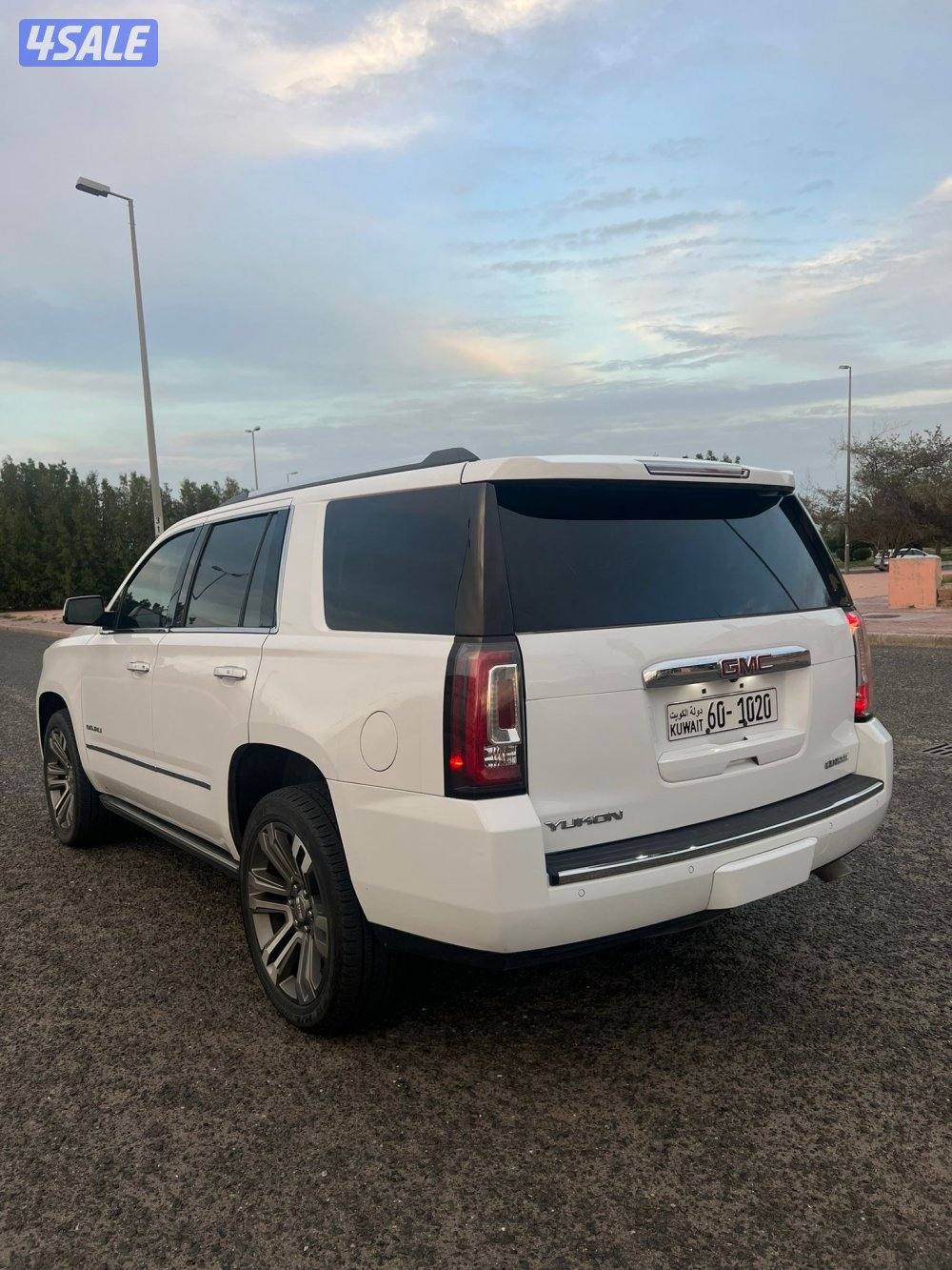 دينالي صبغ الوكاله 20174