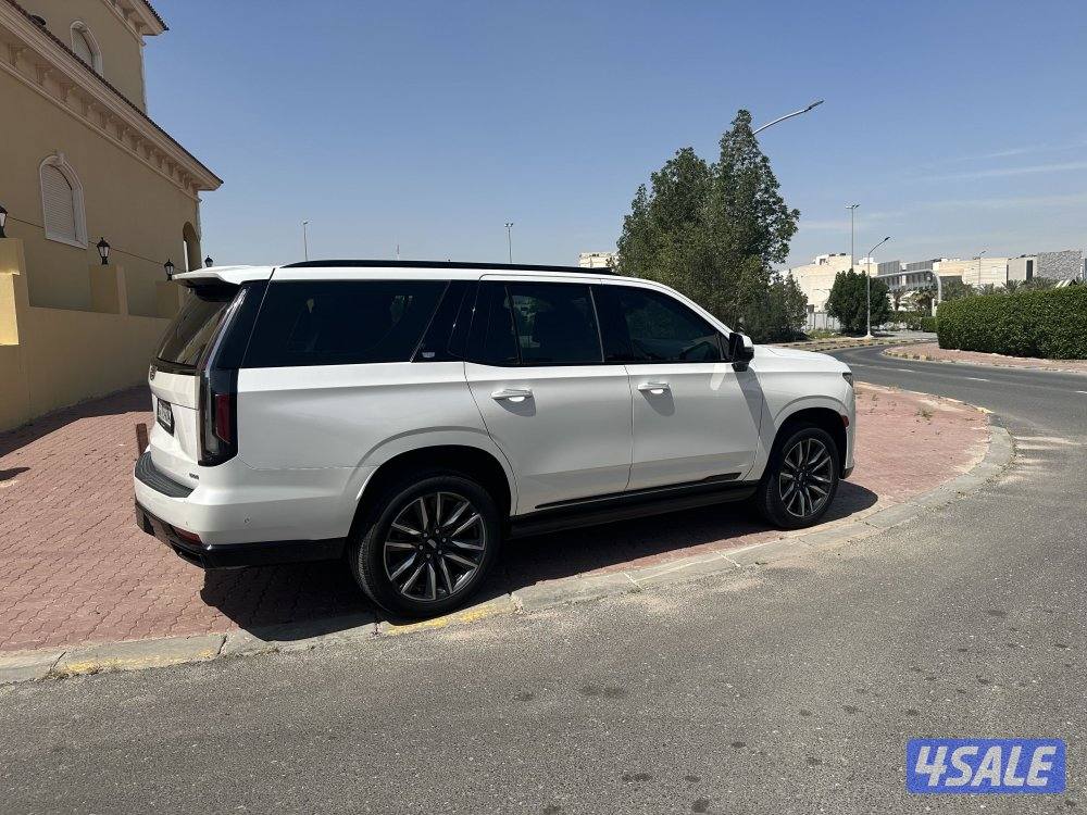 ESCALADE PREMIUM SPORT 6005