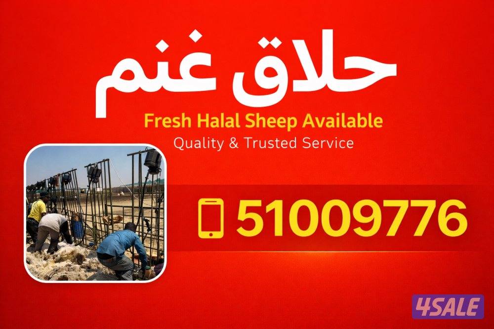 حلاق غنم وقص أظافر0