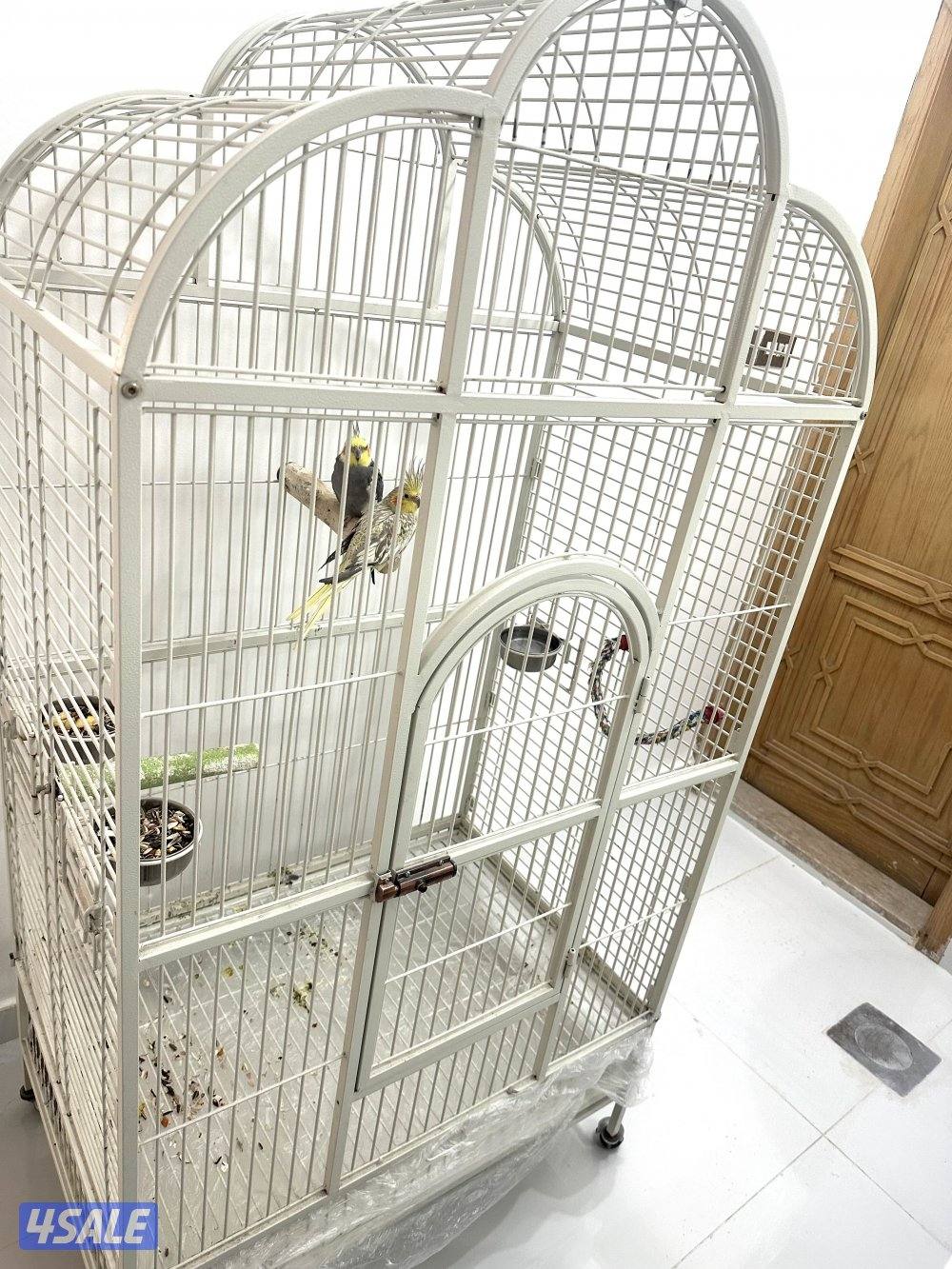 صن كنيور/ كوكتيل بدون القفص9