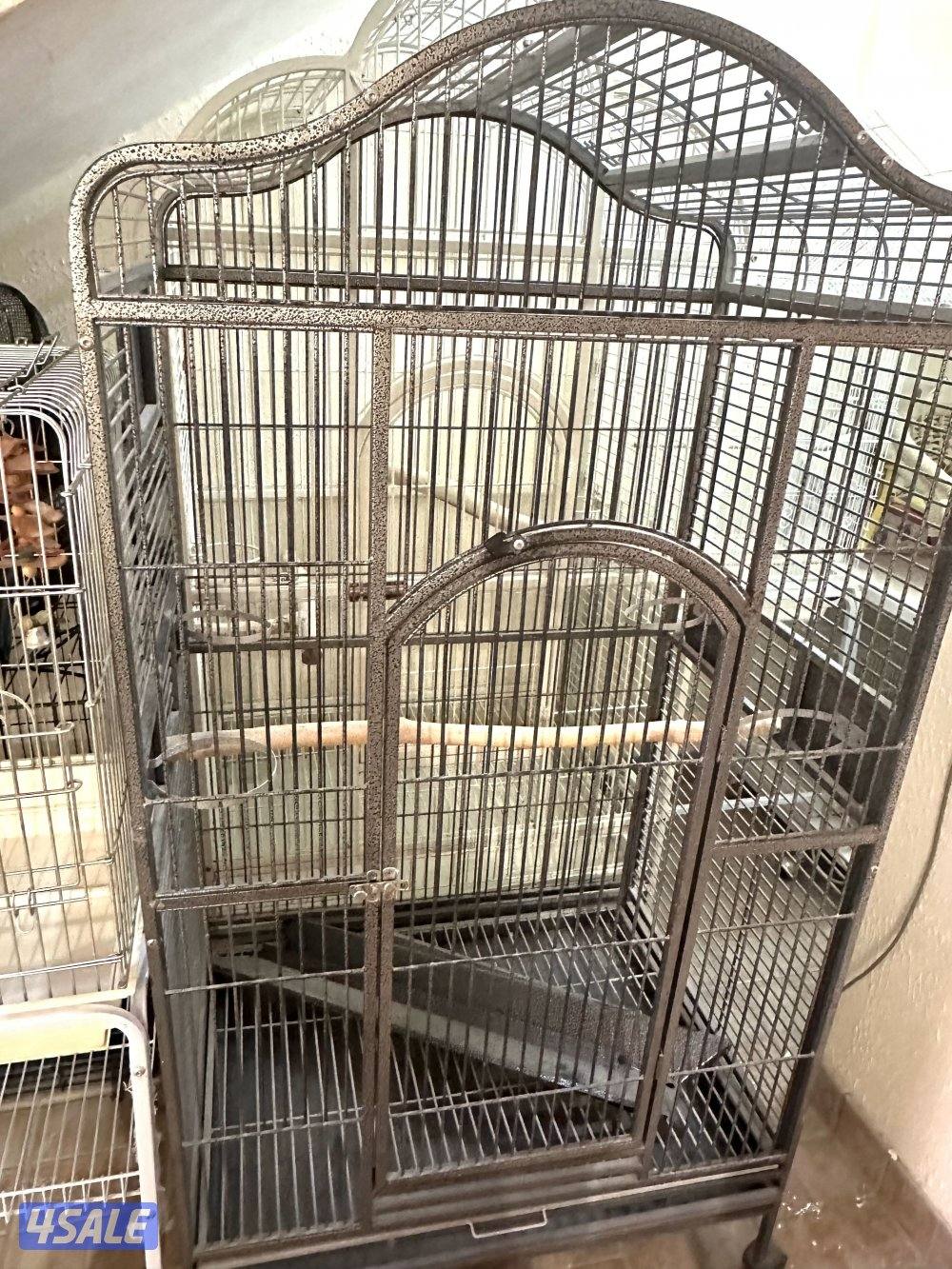 صن كنيور/ كوكتيل بدون القفص11