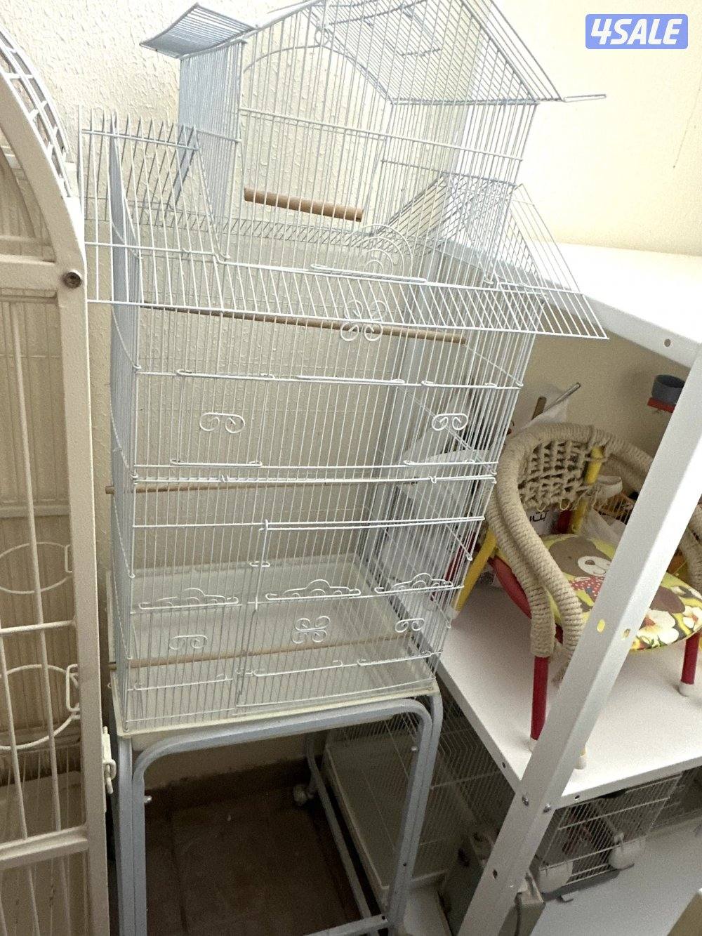 صن كنيور/ كوكتيل بدون القفص12