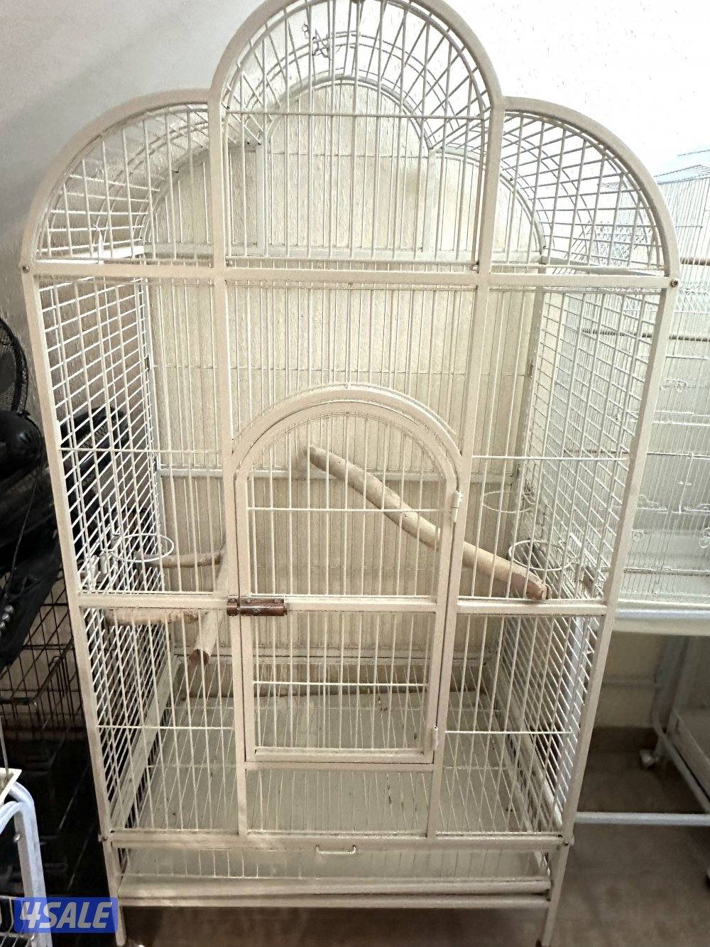 صن كنيور/ كوكتيل بدون القفص13