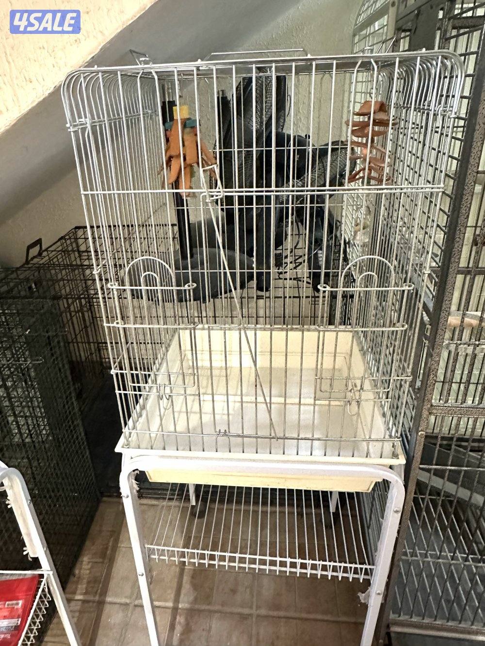 صن كنيور/ كوكتيل بدون القفص14