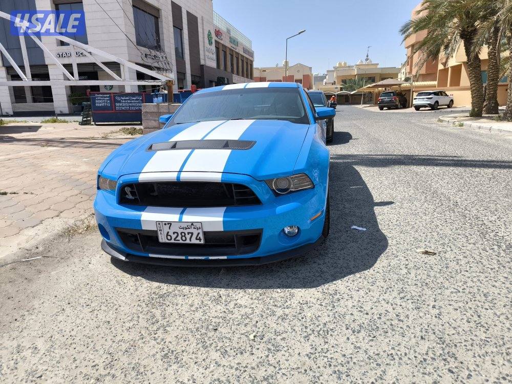 للبيع موستنق شلبي ٢٠١٠1