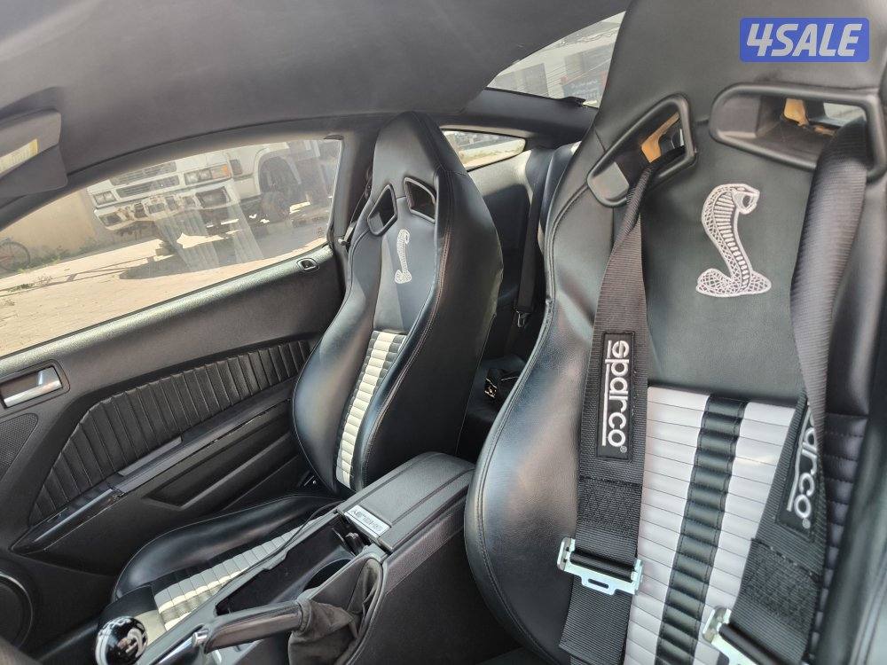 للبيع موستنق شلبي ٢٠١٠3