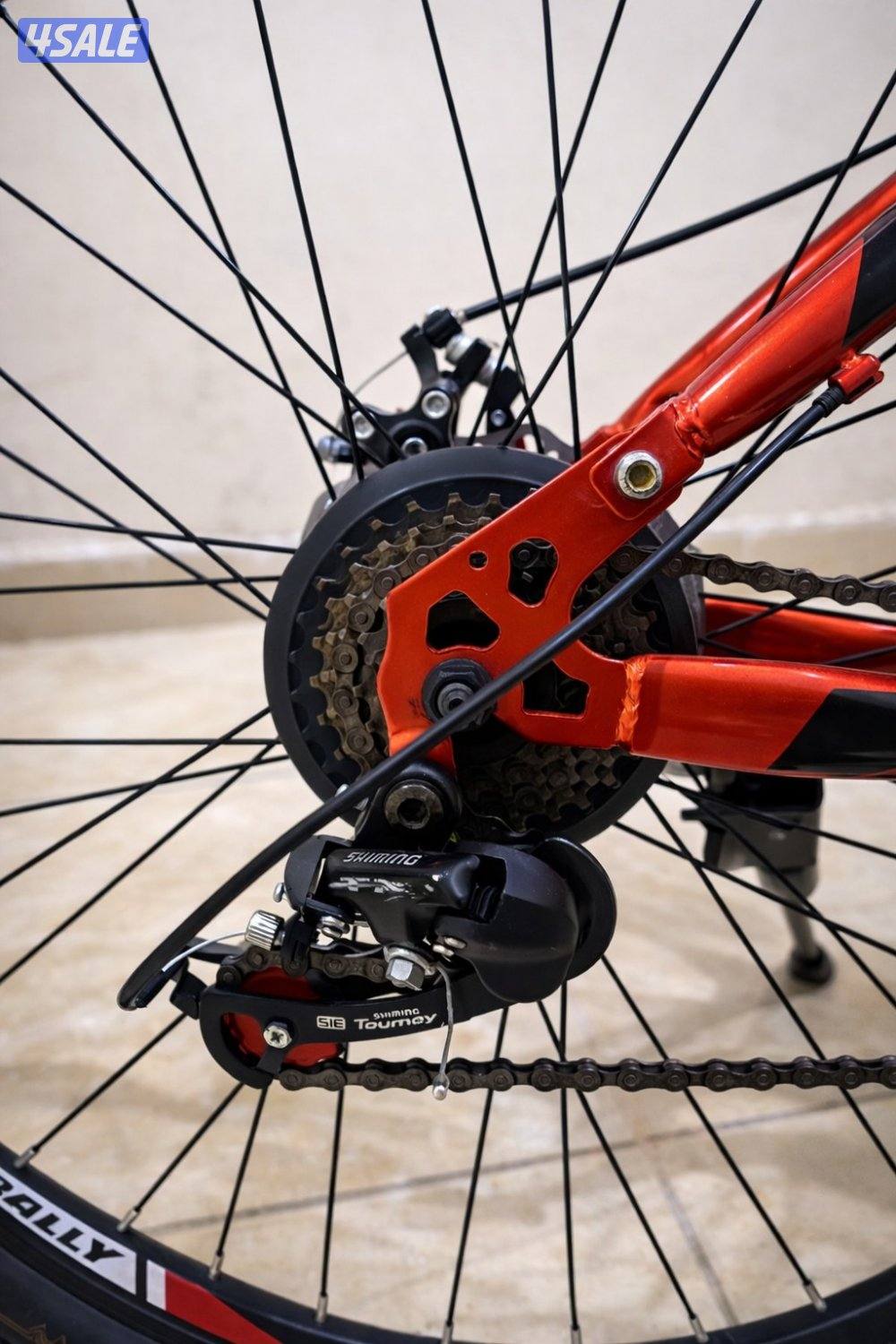 SuperRALLY Original Mountain Bike4