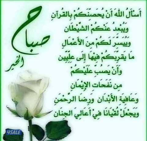 مندوب توصيل طلبات لجميع مناطق الكويت0