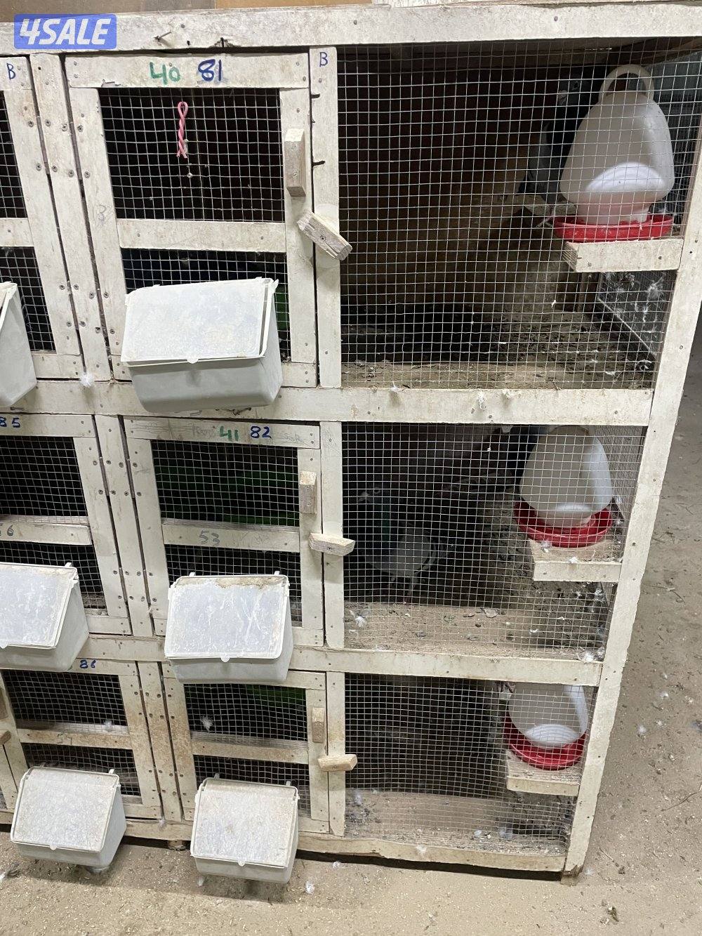 زاجل ازواج4