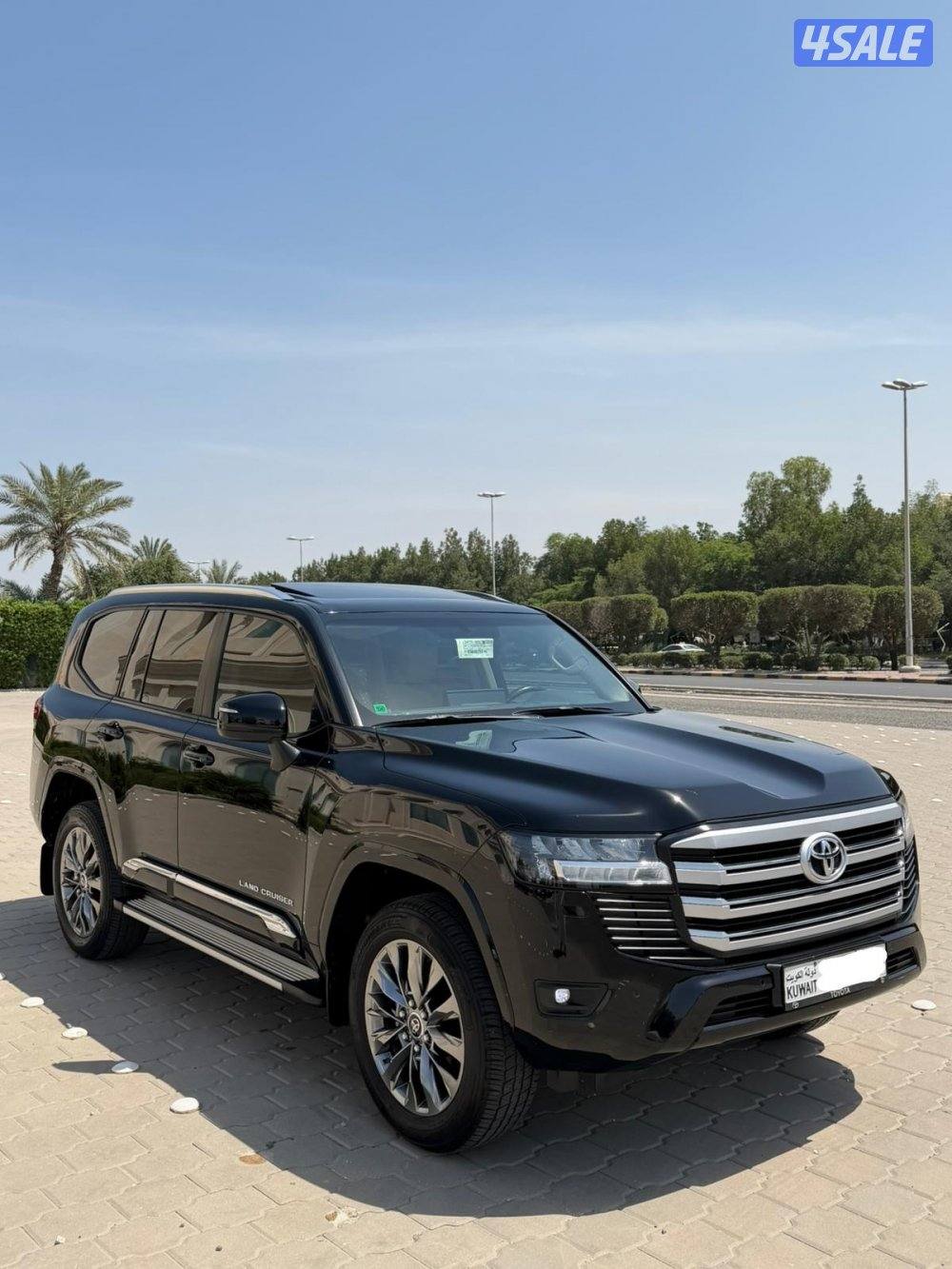 GX.R صبغ الوكاله2