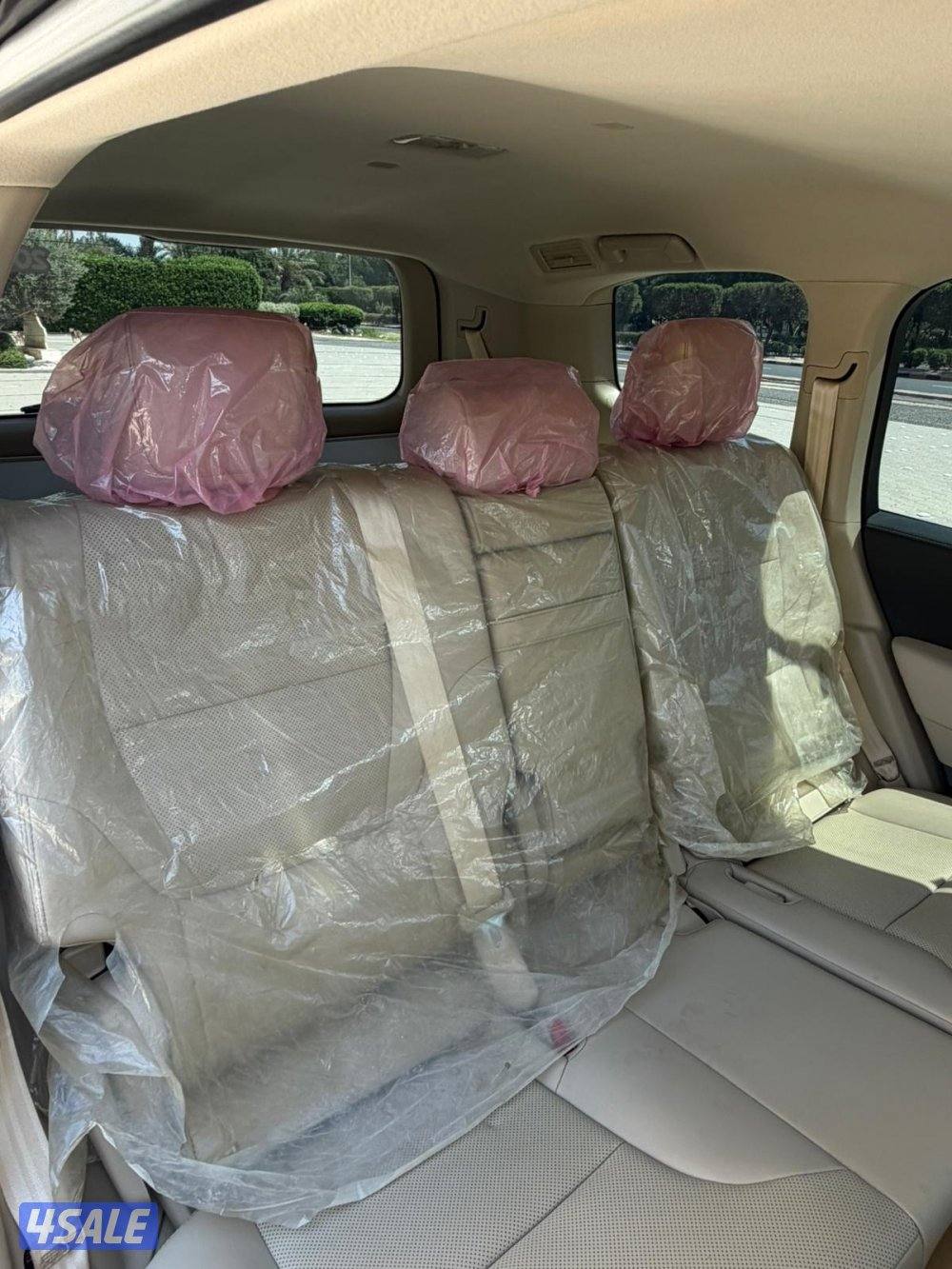 GX.R صبغ الوكاله9