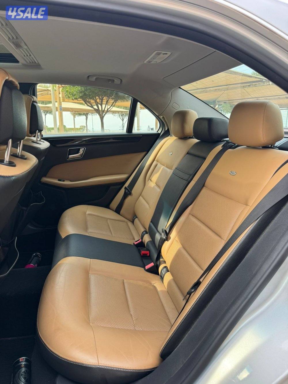 الشرق الصوابر10