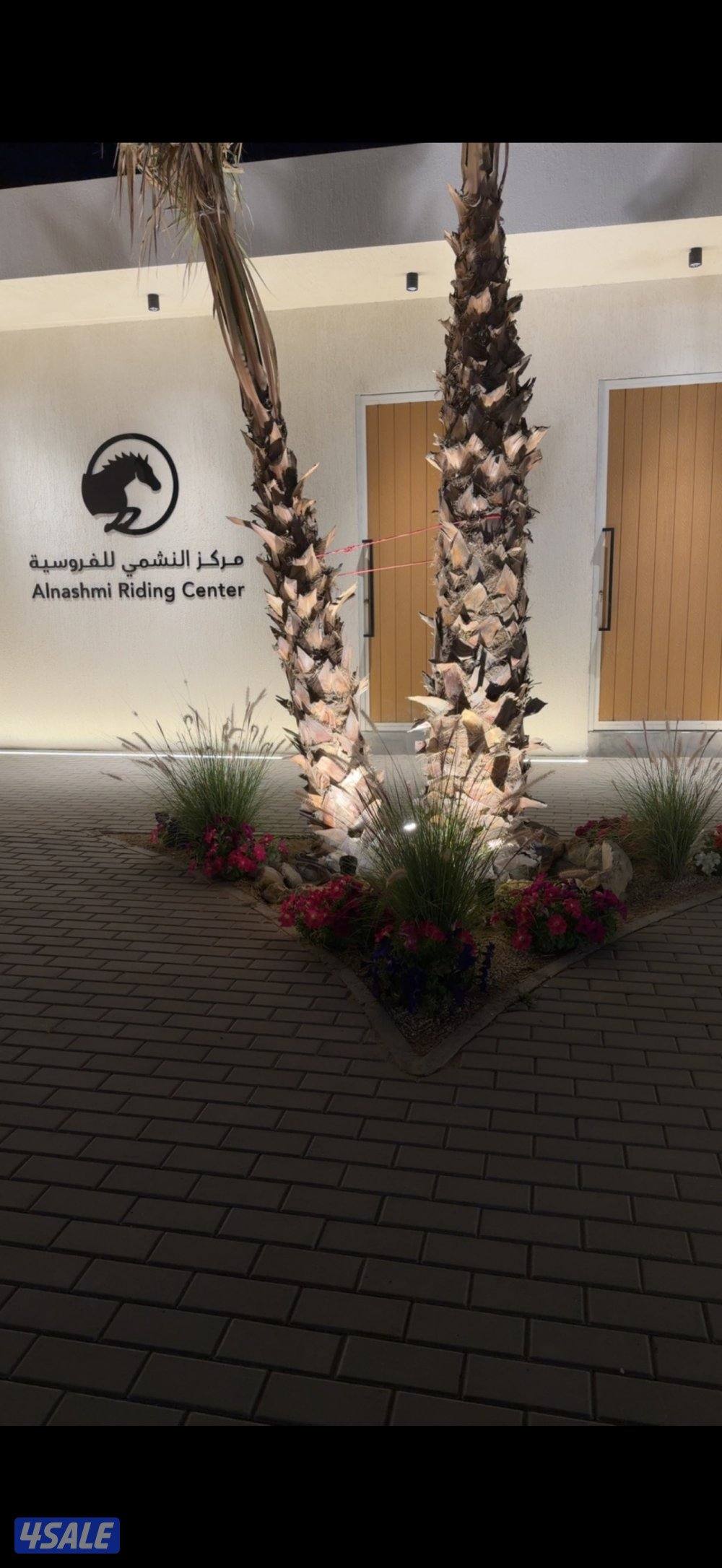 مركز النشمي للفروسية9