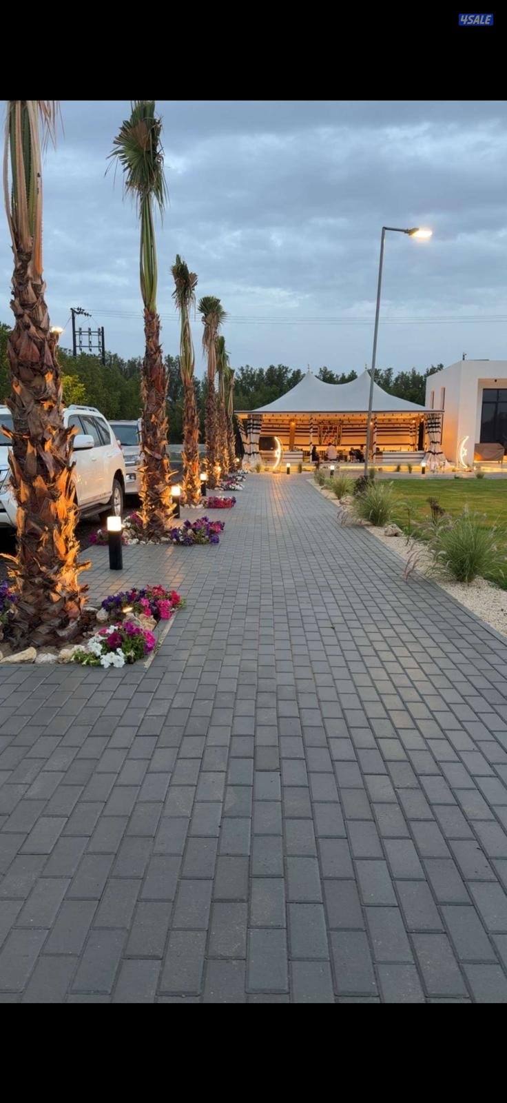 مركز النشمي للفروسية8