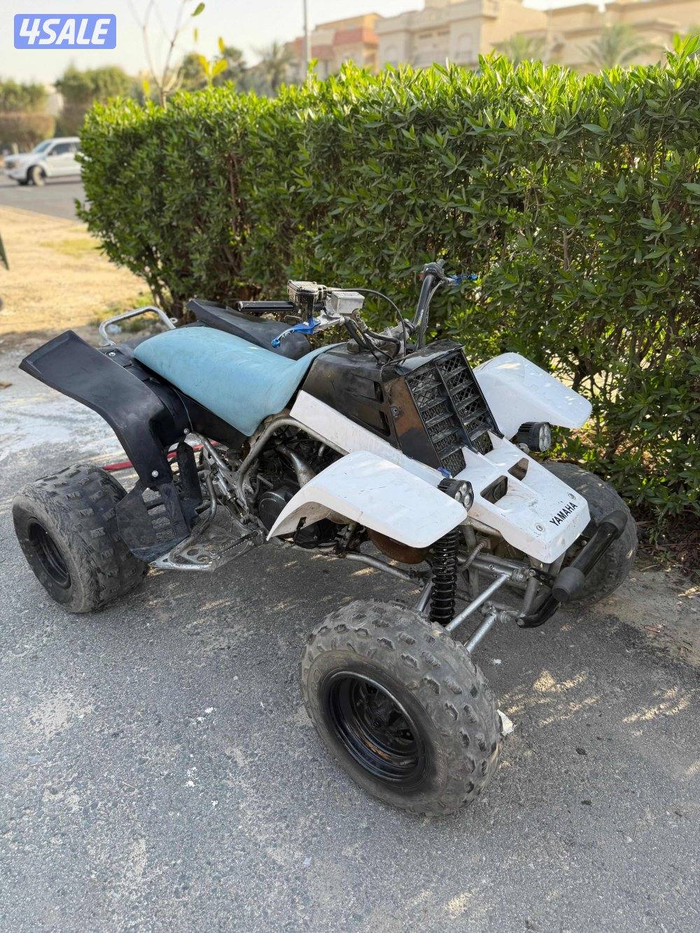 للبيع بانشي0