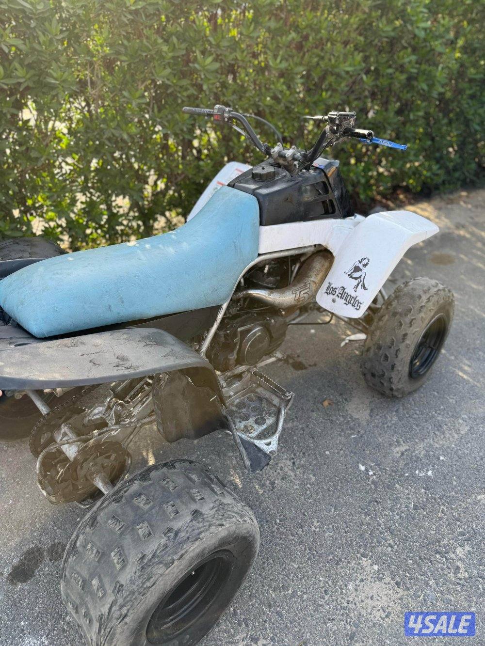 للبيع بانشي2