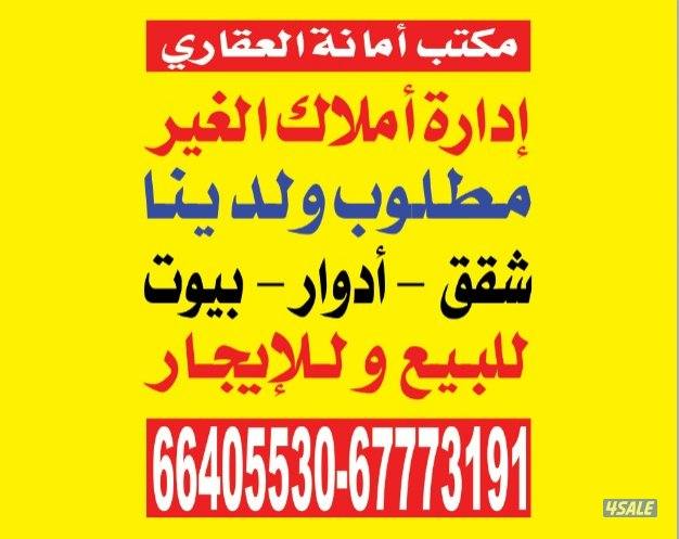 للايجار شقة ابوفطيرة غرفتين وصاله ومطبخ وحمام تشطيب ديلوكس ايجار ٣٠٠0