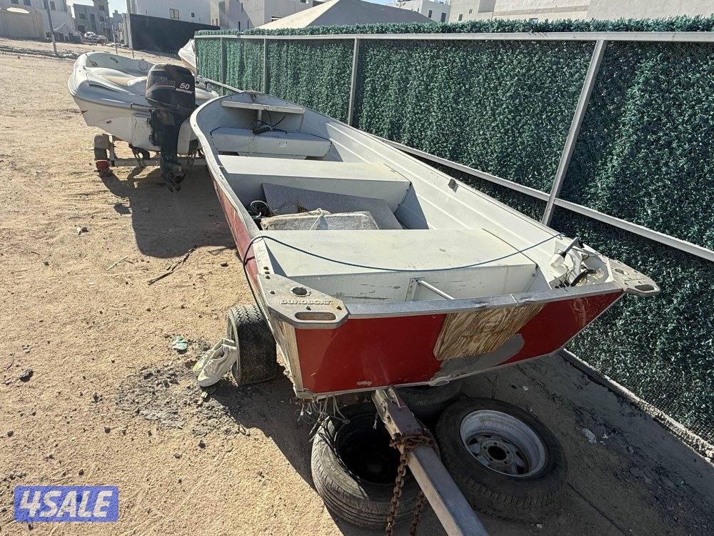 المنيوم ٢٠٠٩1