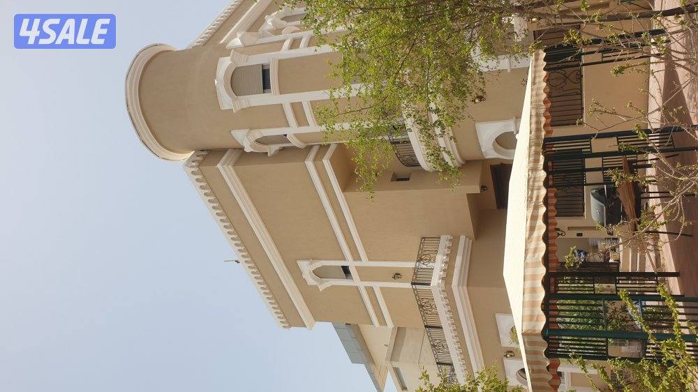 اصباغ وترميمات10