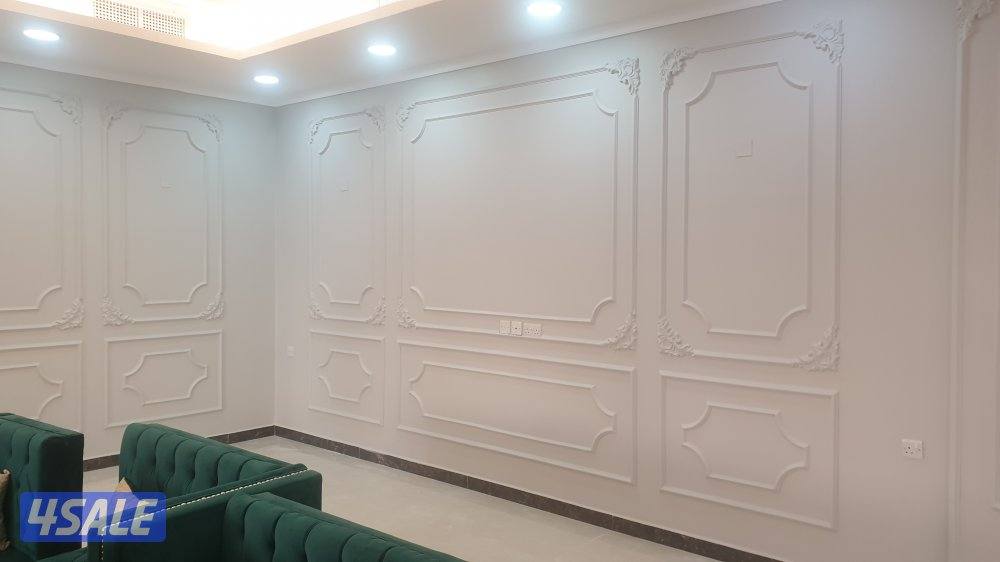 اصباغ وترميمات11