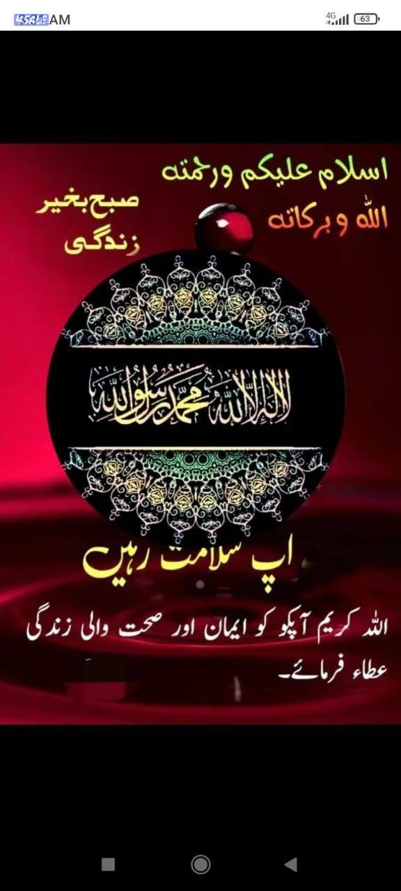 جبسم بو رد با رتيشن ريكو ر جبس2