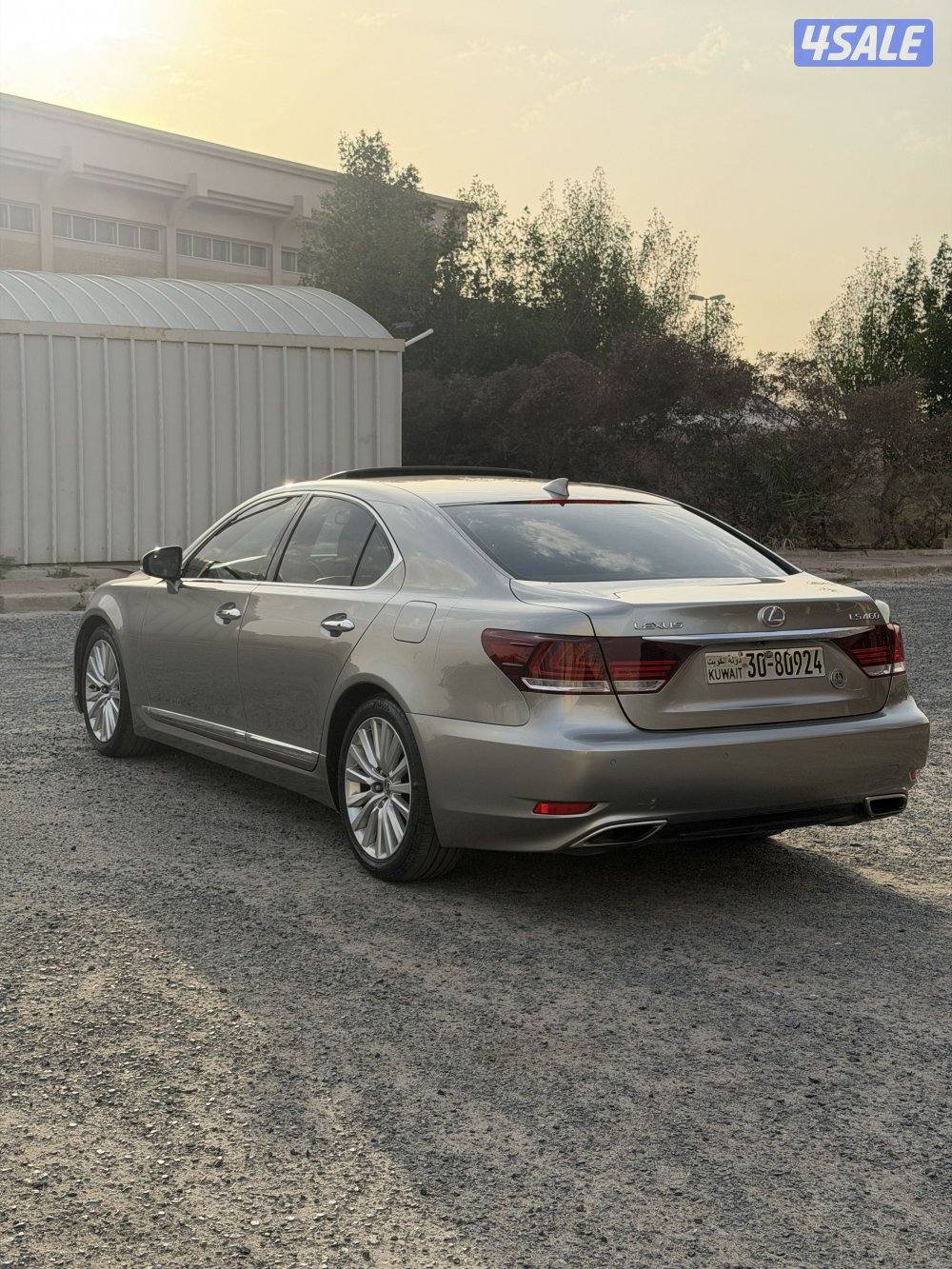 للكزز شرط الفحص3