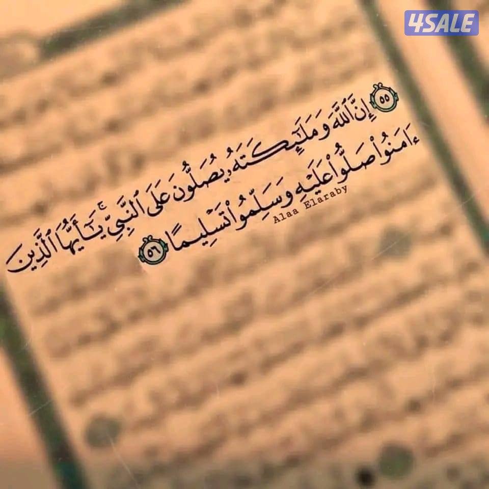 معلم جريل ووجبات سريعة يبحث عن عمل0